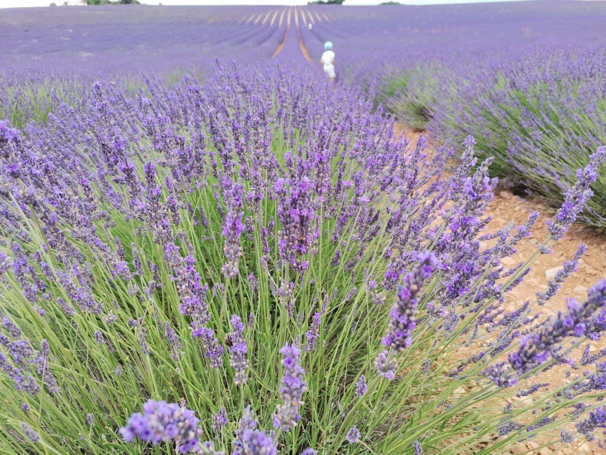 Gîte en Provence Modene Buitenkant foto