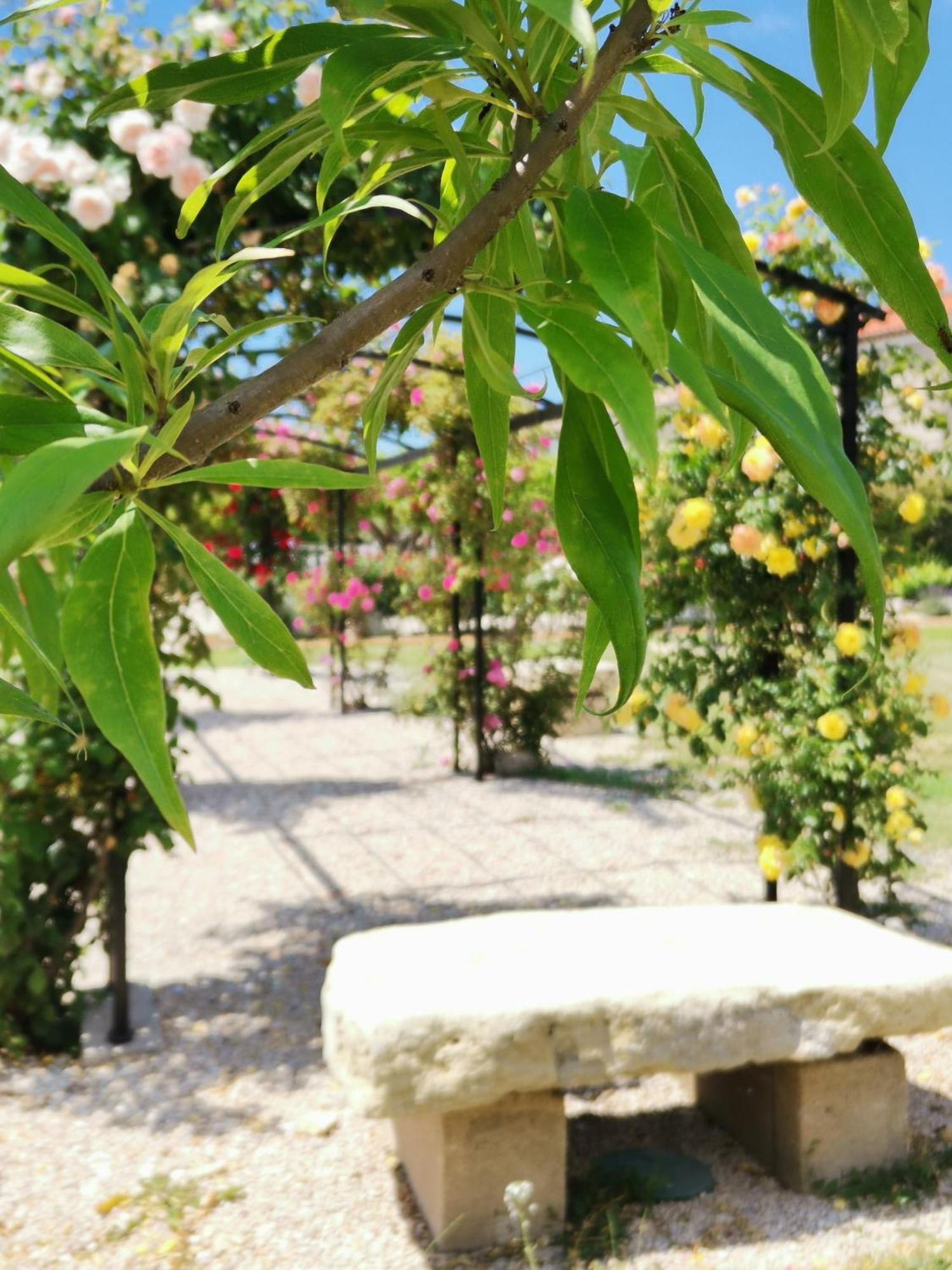 Gîte en Provence Modene Buitenkant foto
